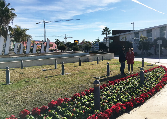Más de 10.000 pascueros, begonias, ciclámenes y alhelíes adornan Motril en Navidad
